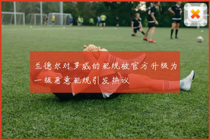 兰德尔对罗威的犯规被官方升级为一级恶意犯规引发热议