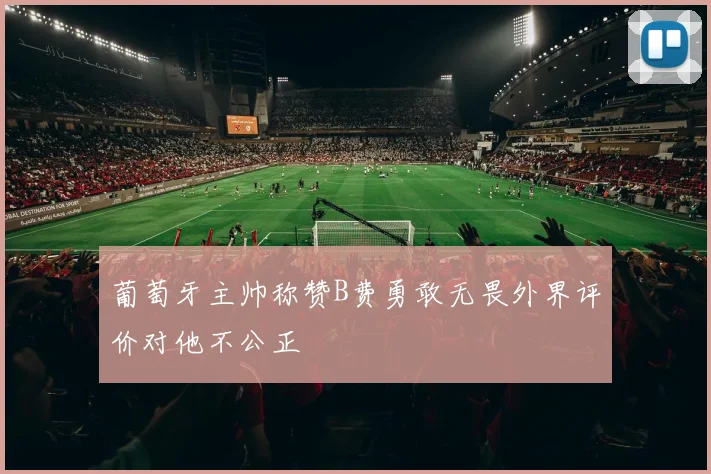 葡萄牙主帅称赞B费勇敢无畏外界评价对他不公正