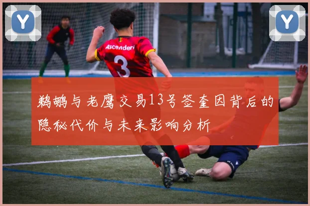 鹈鹕与老鹰交易13号签奎因背后的隐秘代价与未来影响分析