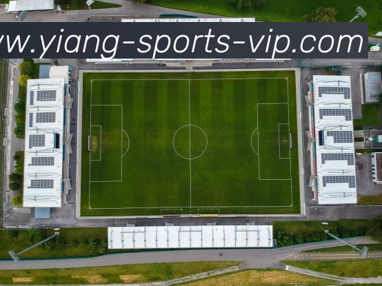 意昂体育发展历程